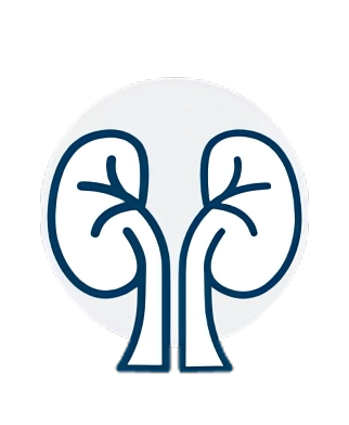 icon kidney